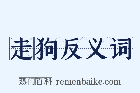 走狗反义词是什么意思的图片